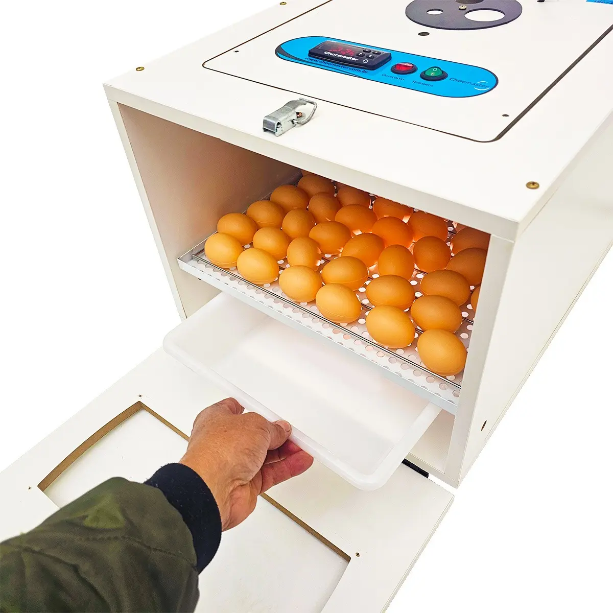 Chocadeira Automática Juli 70 Ovos com Ovoscópio - Chocmaster — foto 4